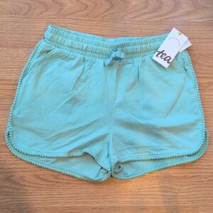 NWT Tea Collection Light Blue Kids Shorts